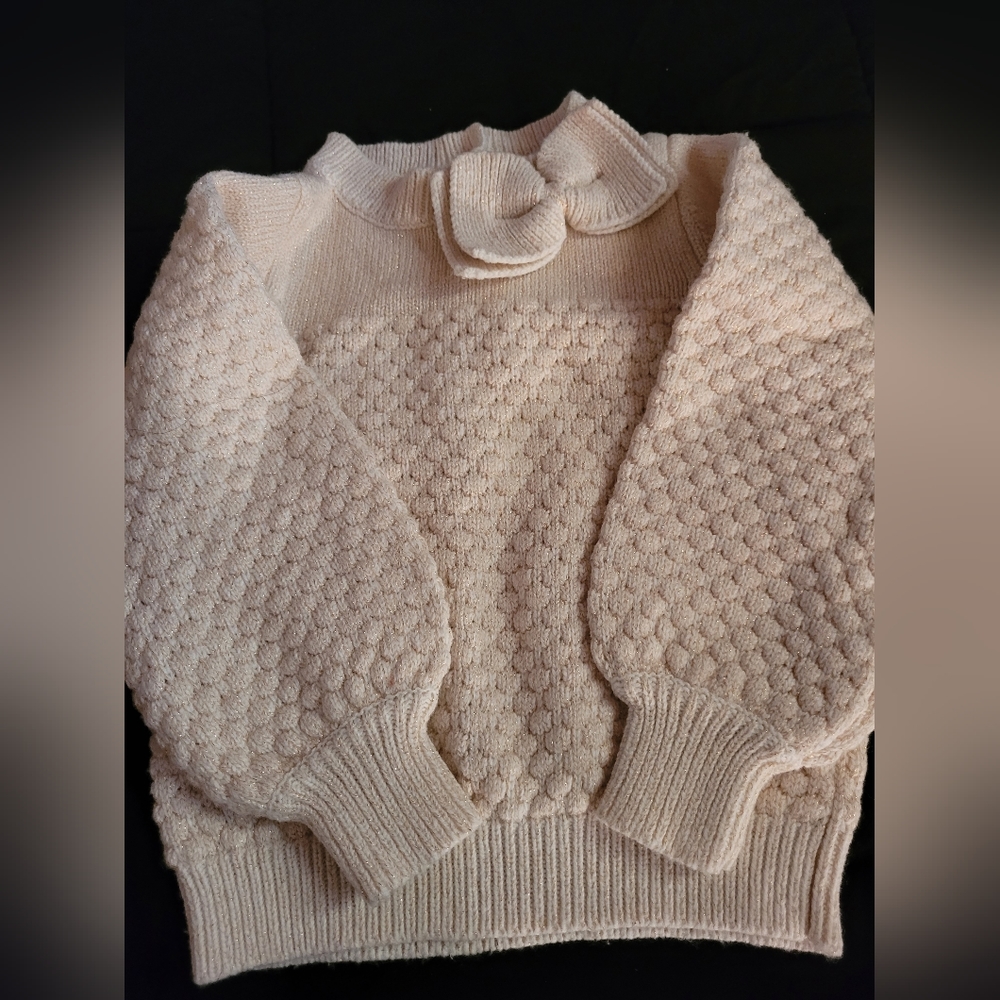 Janie and Jack sweater